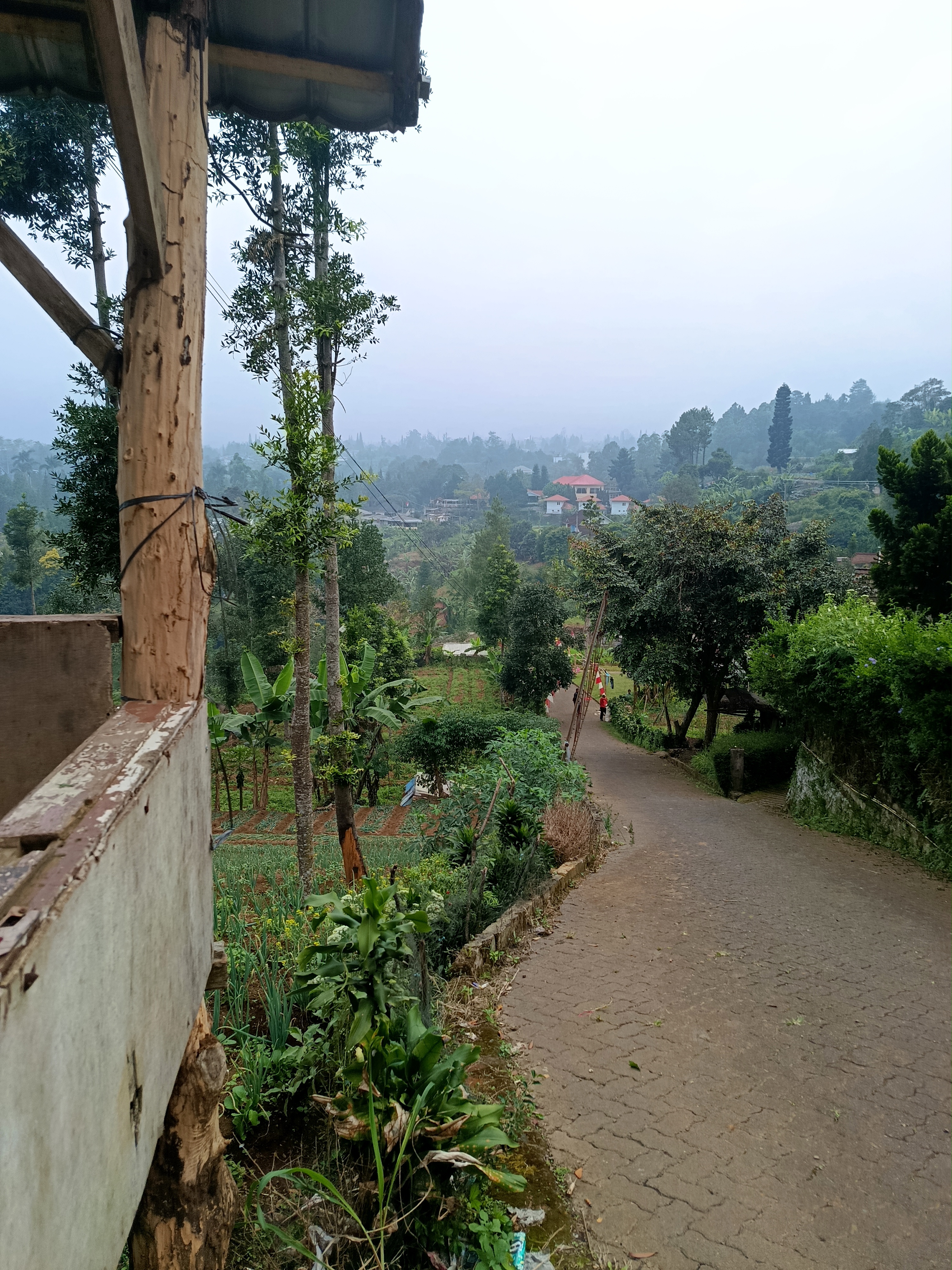 A road near a villa in Bogor