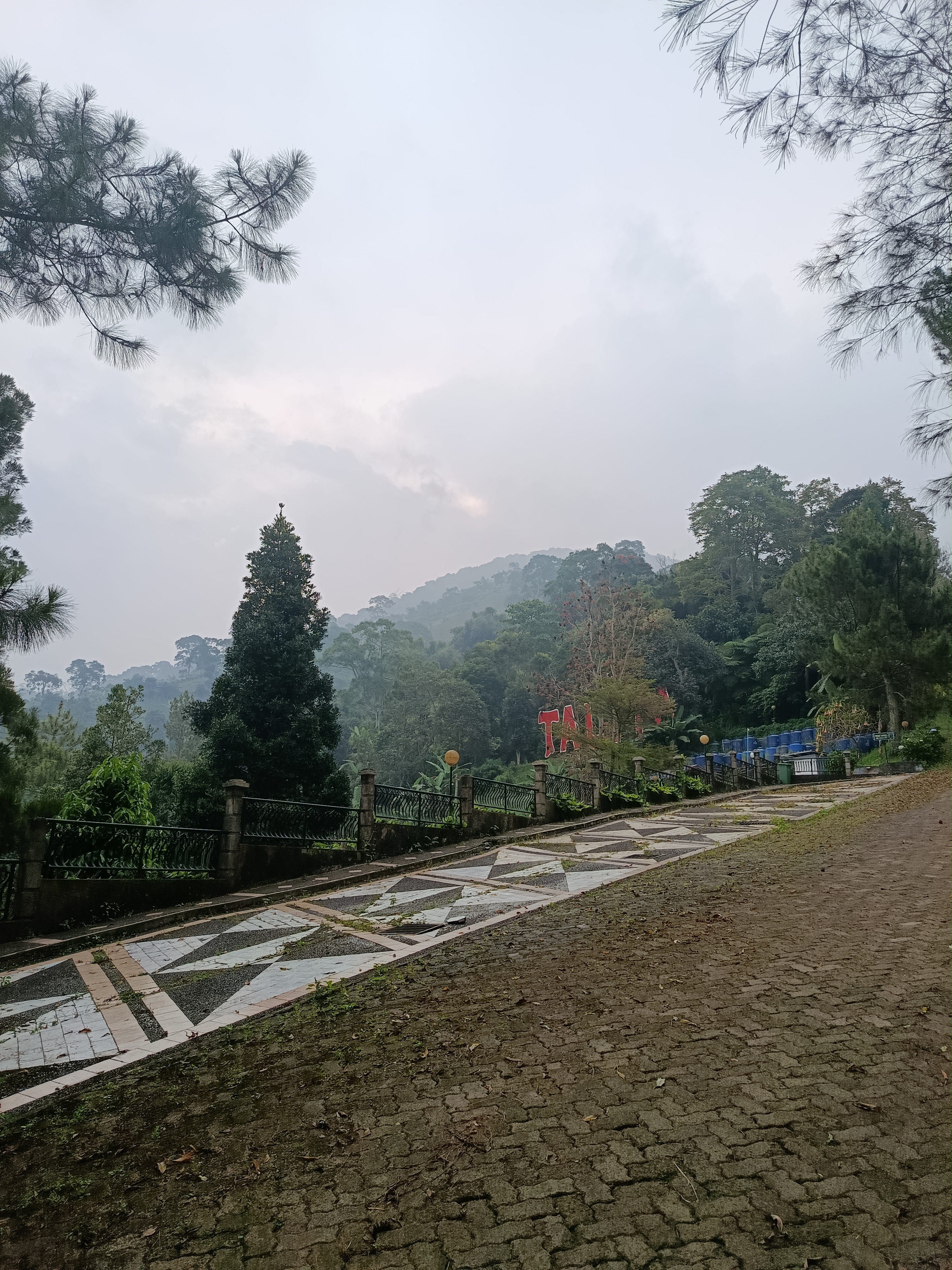 A steep road near the villa on the way to Puncak Talita