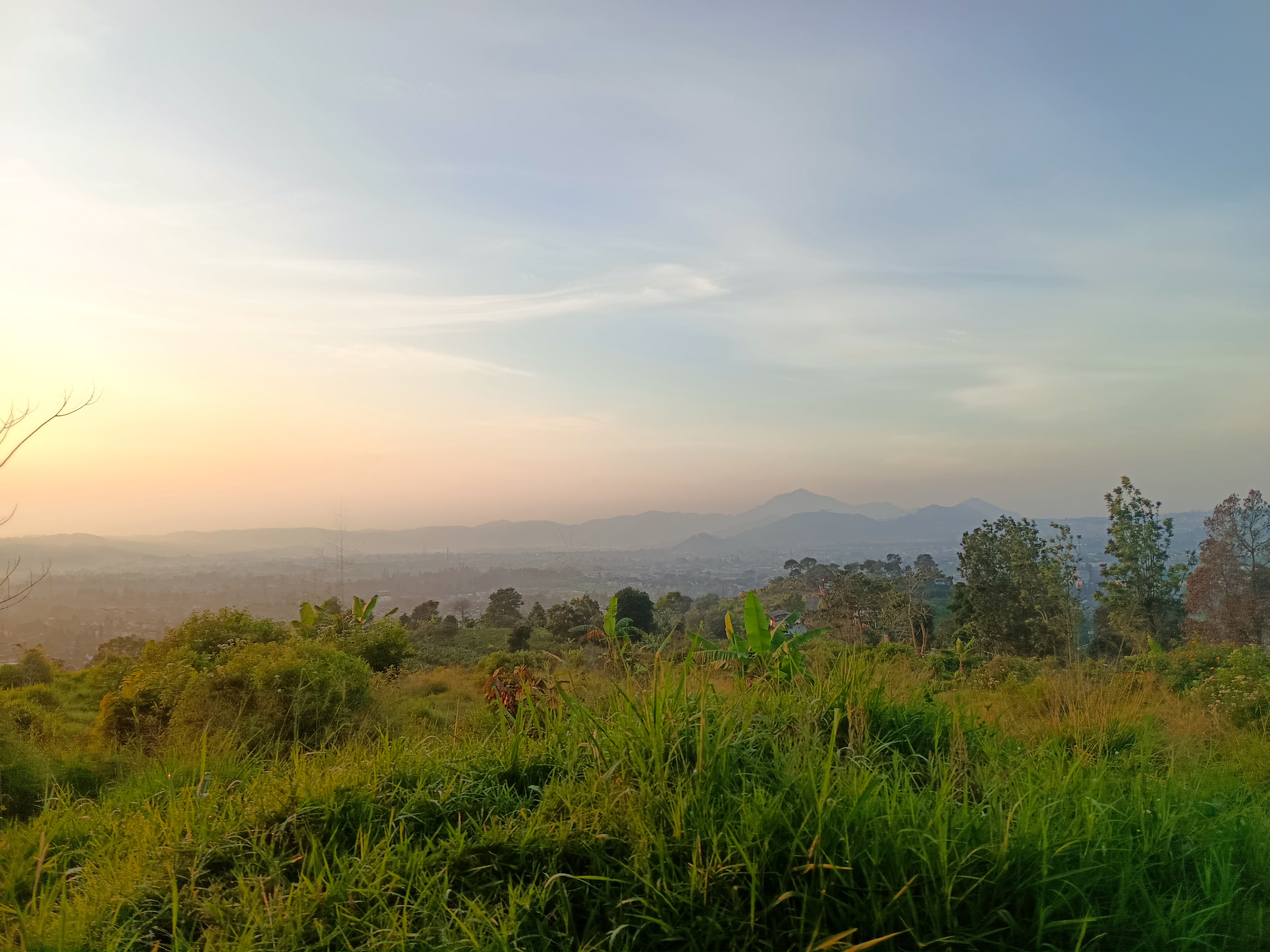 Grass in the foreground while waiting for sunrise
