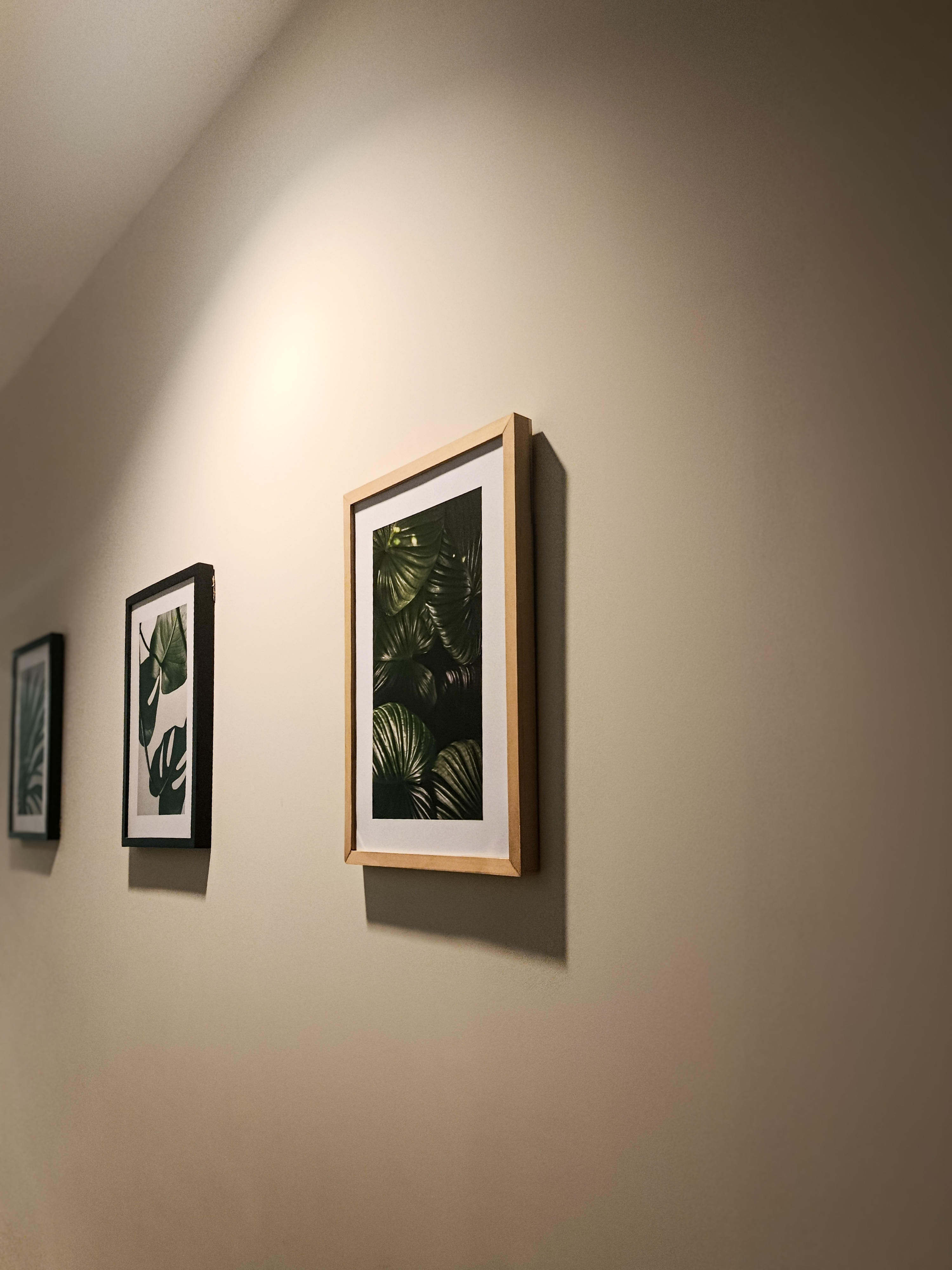 A displayed photo at work with soft lighting
