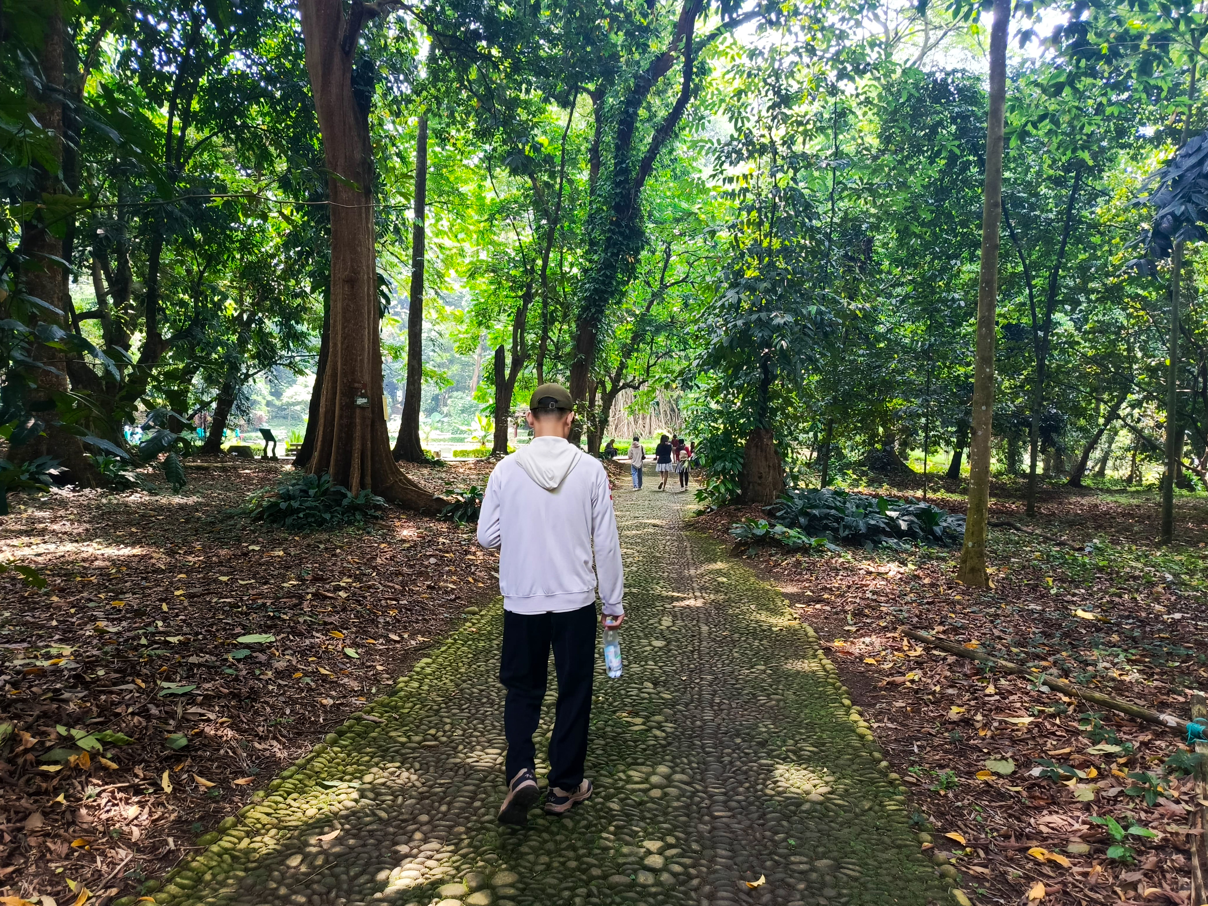 A portrait of Romi at Kebun Raya Bogor